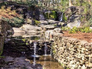 Arboretum Falls