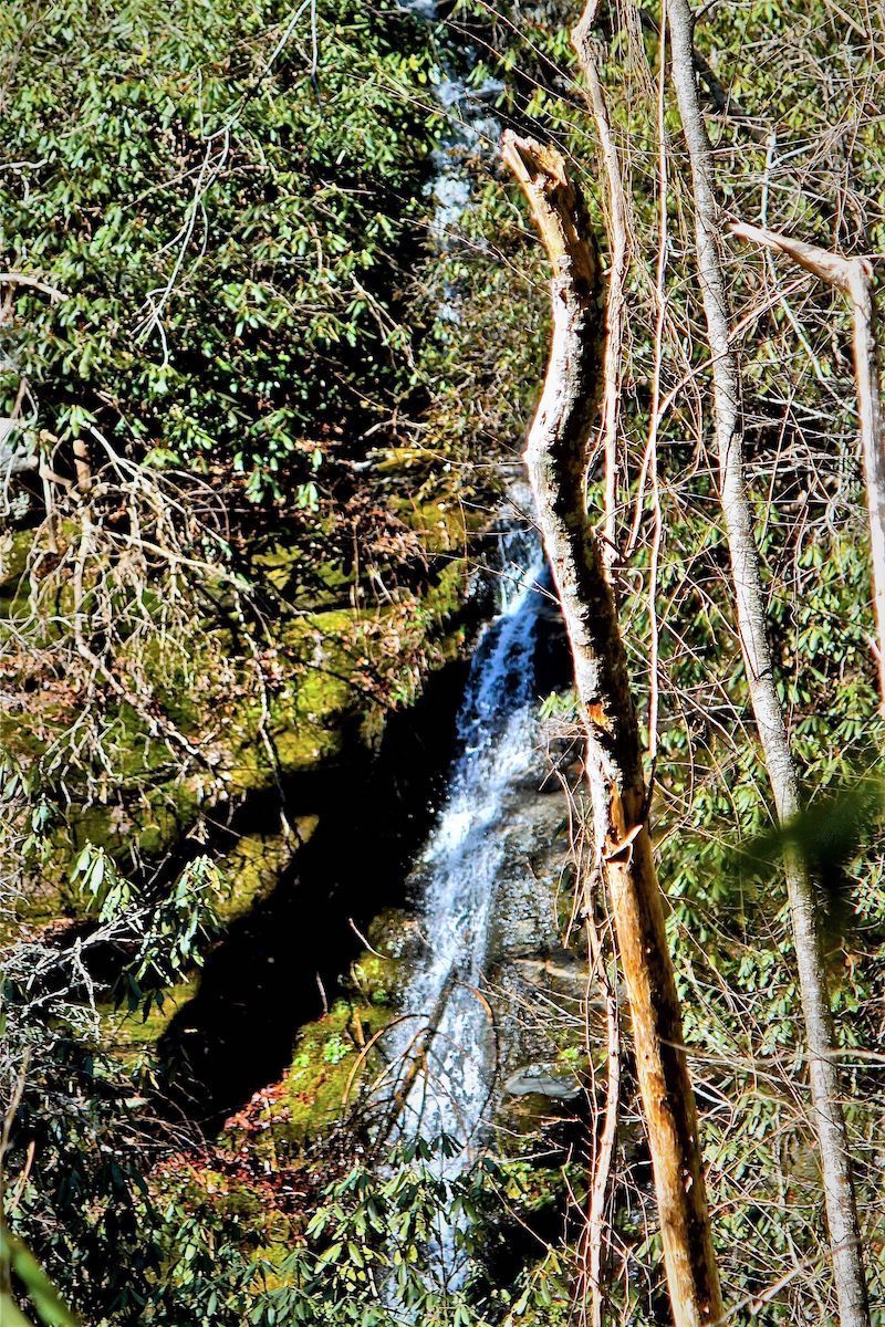 Bushwhack Falls