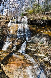 Chestnut Falls