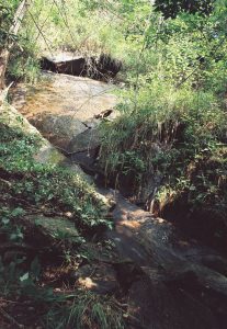 Eastern Stream Falls