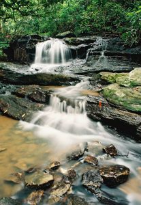 Pleasant Ridge Falls