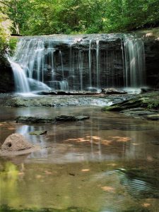 Wildcat Falls Middle