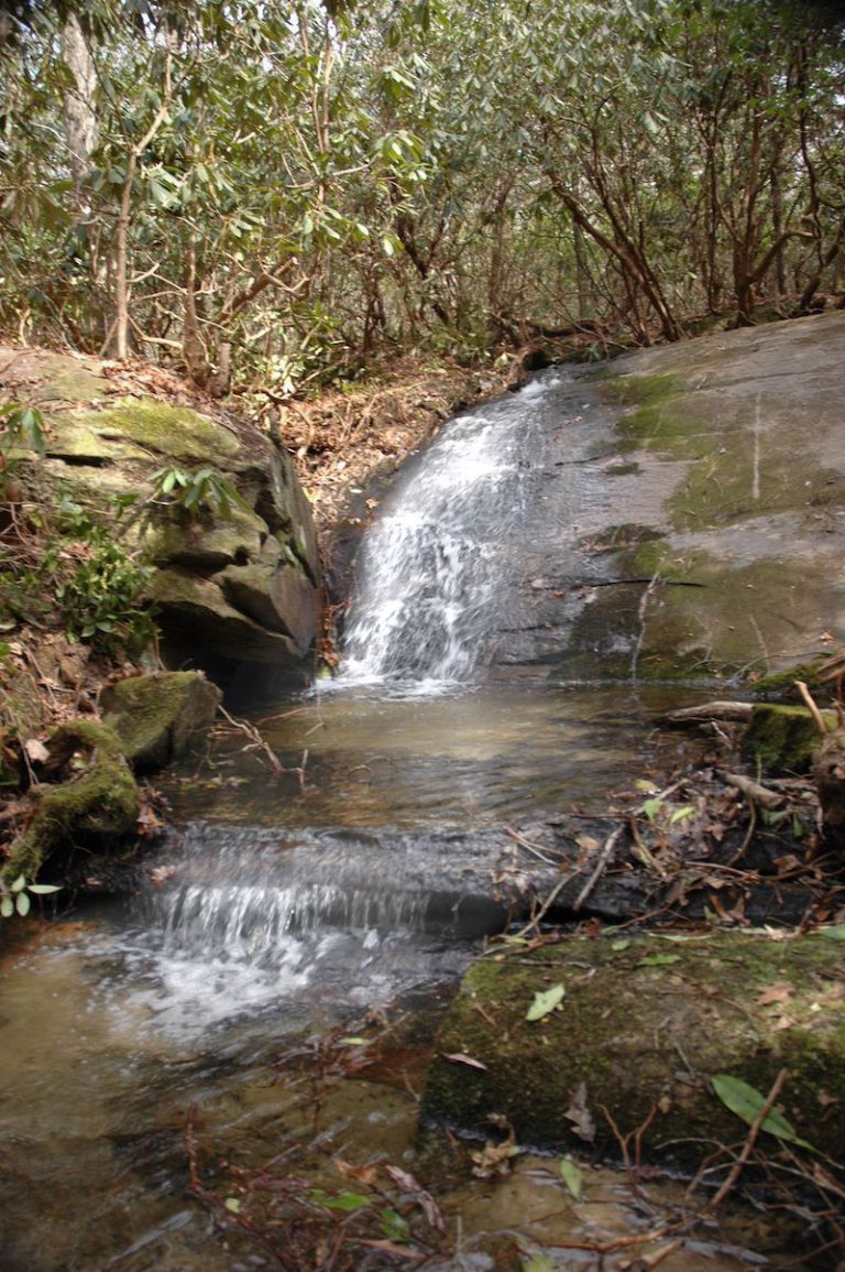 Winnie Branch Falls - Waterfalls of South Carolina